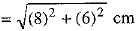 Class 10 Mathematics: CBSE Sample Question Paper (2019-20) - 6