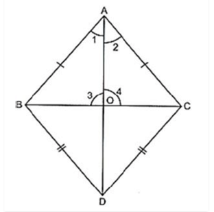 NCERT Exemplar Solutions: Triangles | Mathematics (Maths) Class 9
