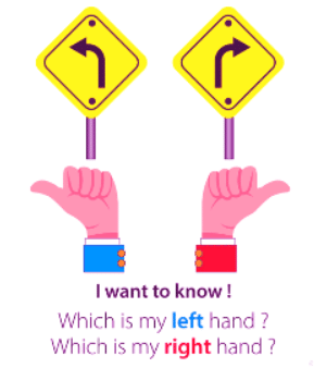 How to Solve Direction Questions? | Science Olympiad Class 6