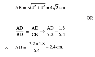 Math Past Year Paper with Solution - 2019, Class 10 | Mathematics (Maths) Class 10