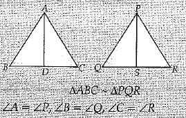 Class 10 Mathematics: CBSE Sample Question Paper (2019-20) - 9 | Mathematics (Maths) Class 10