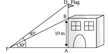 Class 10 Mathematics: CBSE Sample Question Paper (2020-21) (Basic) - 2 | Mathematics (Maths) Class 10