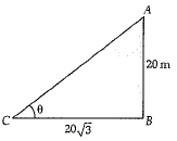 Class 10 Mathematics: CBSE Sample Question Paper (2019-20) - 8 | Mathematics (Maths) Class 10