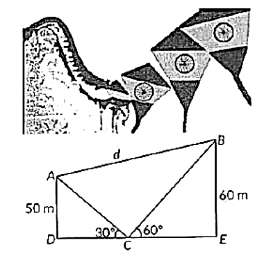 Case Based Questions: Some Applications to Trignometry | Mathematics (Maths) Class 10