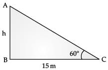 Class 10 Mathematics: CBSE (Official) Sample Question Paper with Solution (2020-21) (Basic) - 1 | Mathematics (Maths) Class 10