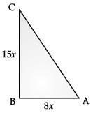 Class 10 Mathematics: CBSE (Official) Sample Question Paper with Solution (2020-21) (Basic) - 1 | Mathematics (Maths) Class 10