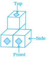 NCERT Exemplar Solutions: Visualising Solid Shapes | Mathematics (Maths) Class 8