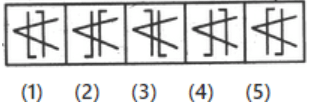 Mathematics Olympiad Model Test Papers - 3 | Olympiad Preparation for Class 10