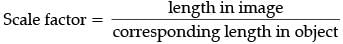 Class 10 Mathematics: CBSE (Official) Sample Question Paper with Solution (2020-21) (Standard) - 1 | Mathematics (Maths) Class 10