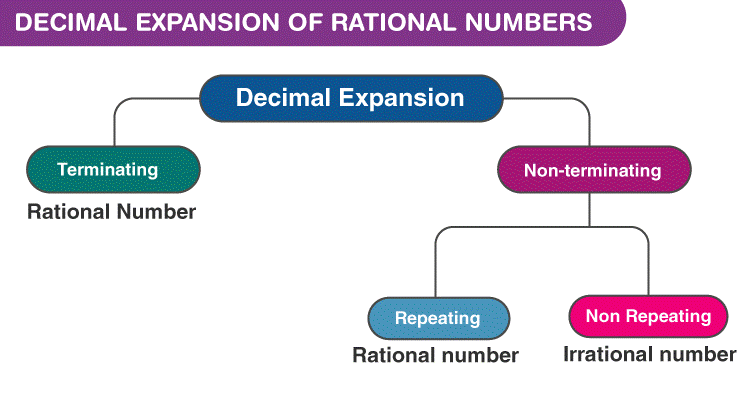 Real Numbers & Their Decimal Expansion | Mathematics (Maths) Class 9