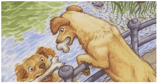 Mirror Images And Water Images | Science Olympiad Class 6
