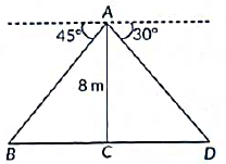 Class 10 Maths Chapter 9 Previous Year Questions - Some Application of Trigonometry