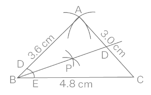 NCERT Exemplar Solutions: Construction - Class 9