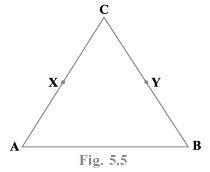 NCERT Exemplar Solutions: Introduction to Euclid`s Geometry | Mathematics (Maths) Class 9