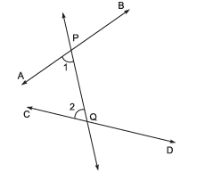 Introduction to Euclid`s Geometry Class 9 Worksheet Maths
