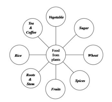 Food and its Components | General Knowledge Encyclopedia - Class 8