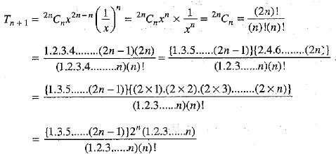 Class 9 Math: Sample Question Paper- 11 (With Solutions)