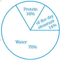 NCERT Exemplar Solutions: Data Handling | Mathematics (Maths) Class 8