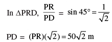 Math Past Year Paper with Solution - 2019, Class 10 | Mathematics (Maths) Class 10