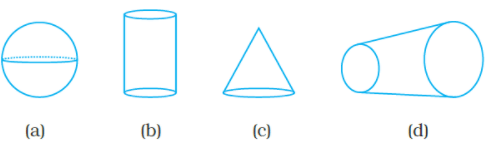 NCERT Exemplar Solutions: Visualising Solid Shapes | Mathematics (Maths) Class 8
