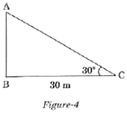 Math Past Year Paper with Solution - 2020, Class 10 - (Standard) | Mathematics (Maths) Class 10