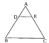 Class 10 Mathematics: CBSE Sample Question Paper (2019-20) - 1 | Mathematics (Maths) Class 10