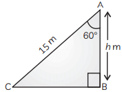 Class 10 Maths Chapter 9 Previous Year Questions - Some Application of Trigonometry