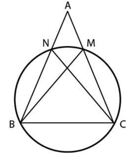 NCERT Exemplar Solutions: Circles | Mathematics (Maths) Class 9