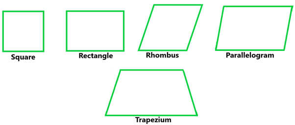 Polygons: Understanding Quadrilaterals | Mathematics (Maths) Class 8