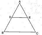 Class 10 Mathematics: CBSE Sample Question Paper (2019-20) - 4 | Mathematics (Maths) Class 10