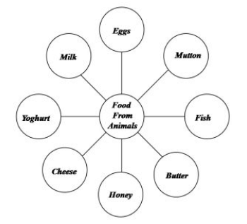 Food and its Components | General Knowledge Encyclopedia - Class 8