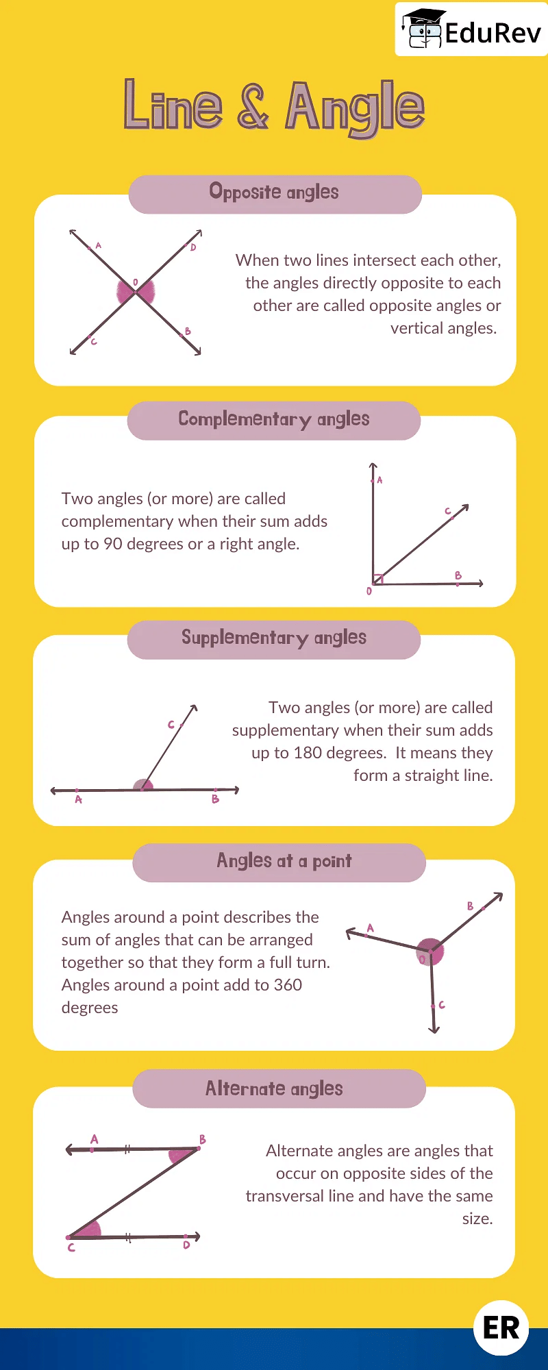 Infographics: Lines and Angles | Mathematics (Maths) Class 9
