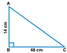 ML Aggarwal: Squares & Square Roots - 4