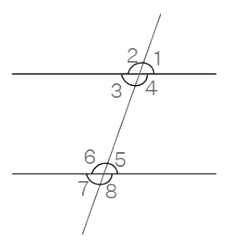 NCERT Exemplar Solutions: Introduction to Euclid`s Geometry | Mathematics (Maths) Class 9