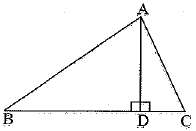 Class 10 Mathematics: CBSE Sample Question Paper (2019-20) - 3 | Mathematics (Maths) Class 10