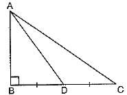 Class 10 Mathematics: CBSE Sample Question Paper (2019-20) - 3 | Mathematics (Maths) Class 10