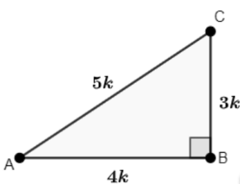 Class 10 Maths Chapter 8 Important Question Answers - Introduction to Trigonometry