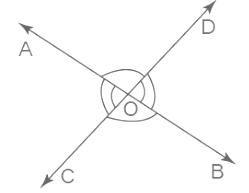 NCERT Exemplar Solutions: Introduction to Euclid`s Geometry | Mathematics (Maths) Class 9