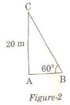 Math Past Year Paper with Solution - 2020, Class 10 - (Basic) | Mathematics (Maths) Class 10