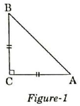Math Past Year Paper with Solution - 2020, Class 10 - (Standard) | Mathematics (Maths) Class 10