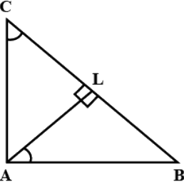 NCERT Exemplar Solutions: Lines & Angles | Mathematics (Maths) Class 9