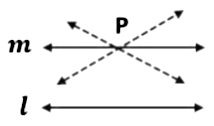 Introduction to Euclid’s Geometry Class 9 Notes Maths Chapter 5
