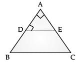 Class 10 Mathematics: CBSE (Official) Sample Question Paper with Solution (2020-21) (Basic) - 1 | Mathematics (Maths) Class 10