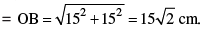 Math Past Year Paper with Solution - 2019, Class 10 | Mathematics (Maths) Class 10