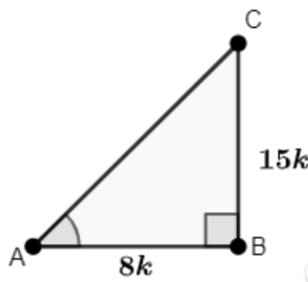 Class 10 Maths Chapter 8 Important Question Answers - Introduction to Trigonometry