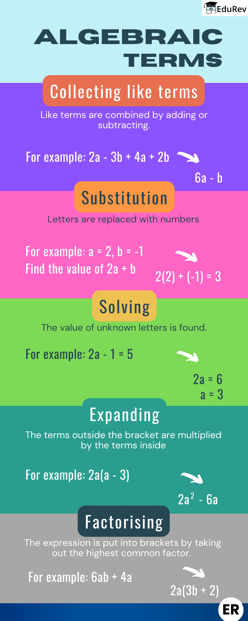 Infographics: Algebric Terms | Mathematics (Maths) Class 8