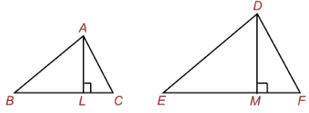Math Past Year Paper with Solution - 2020, Class 10 - (Standard) | Mathematics (Maths) Class 10