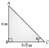 Class 10 Mathematics: CBSE Sample Question Paper (2020-21) (Basic) - 3 | Mathematics (Maths) Class 10
