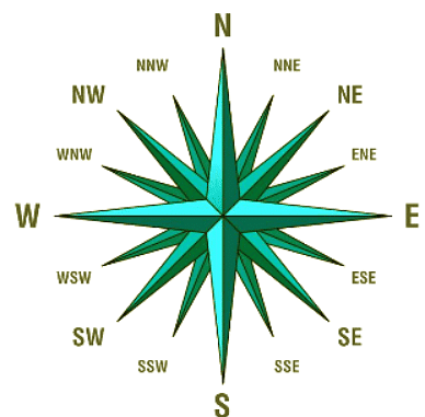 How to Solve Direction Questions? | Science Olympiad Class 6