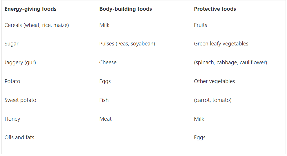 Food and its Components | General Knowledge Encyclopedia - Class 8